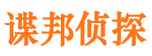 翼城市私家侦探